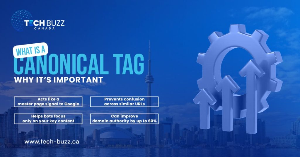 what is Canonical tag